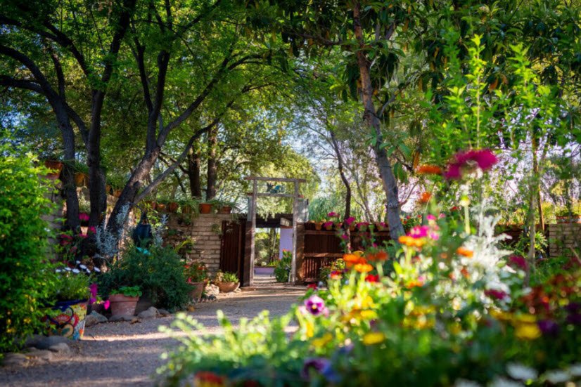 Tucson Botanical Gardens, United States